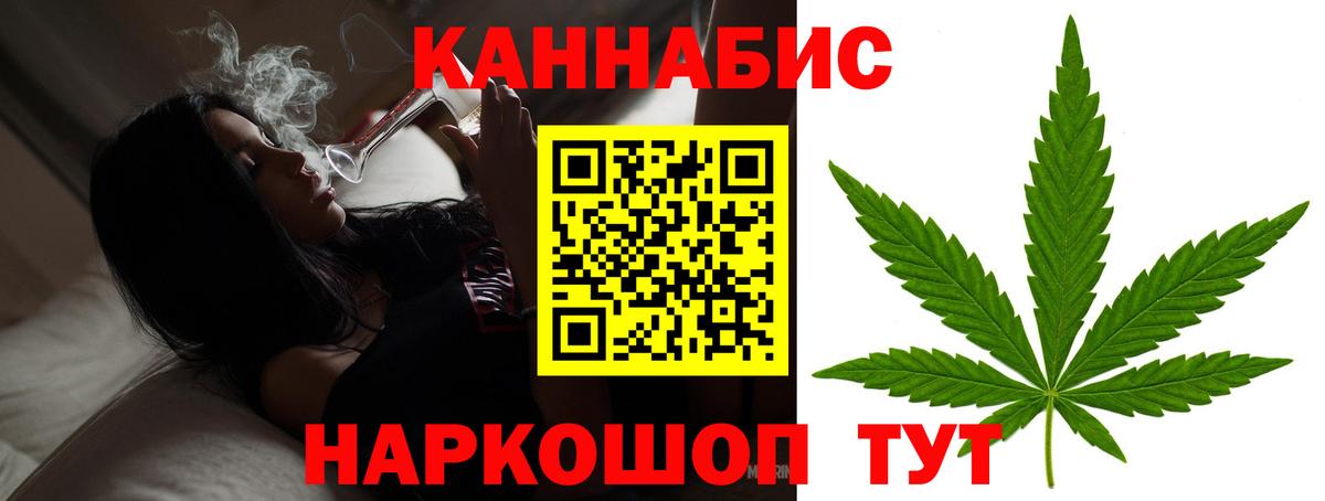 Бошки Шишки план  Бошки Шишки гибрид  Каннабис планчик  Конопля семена  Коркино  Вход с VPN 